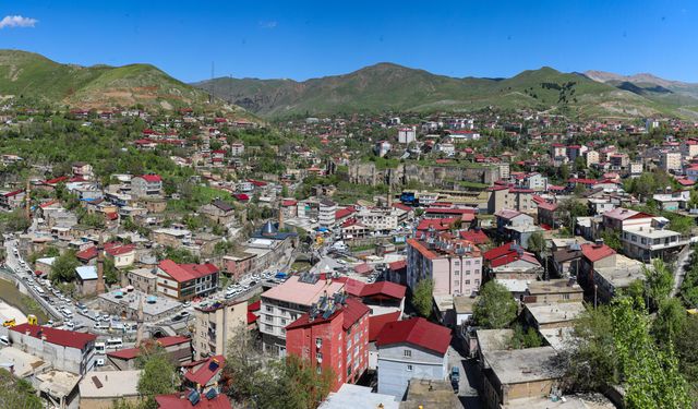 ‘Bitlis Beş Minare Uluslararası Film Festivali’ başlıyor!