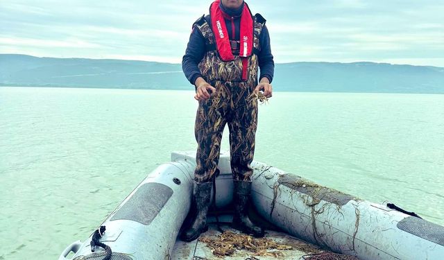 Bursa'da kaçak avcılara baskın