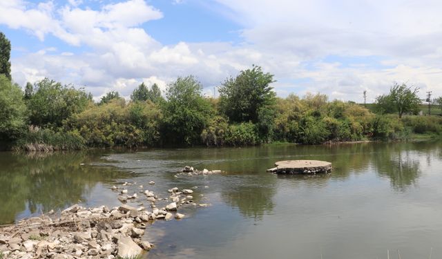Dicle Nehri’nde balık ölümleri araştırılıyor