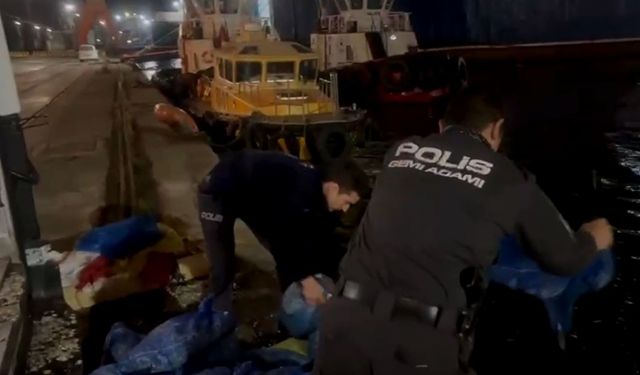 Kaçak midye avcılığına ceza!