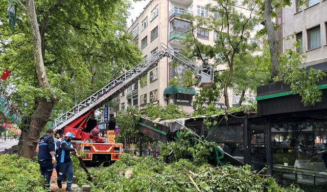 Kafenin üstüne çınar ağacı düştü
