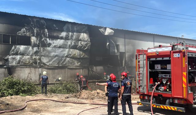 Kontrplak üretim tesisinde yangın çıktı