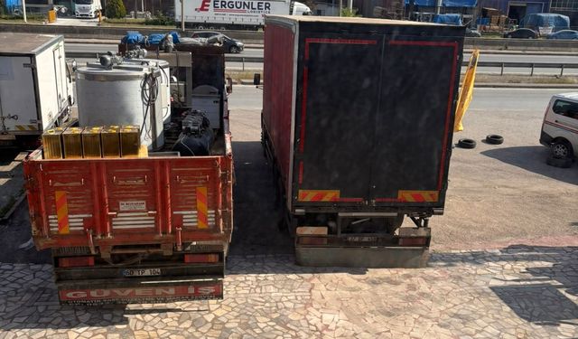Kraliçe arılara el konuldu