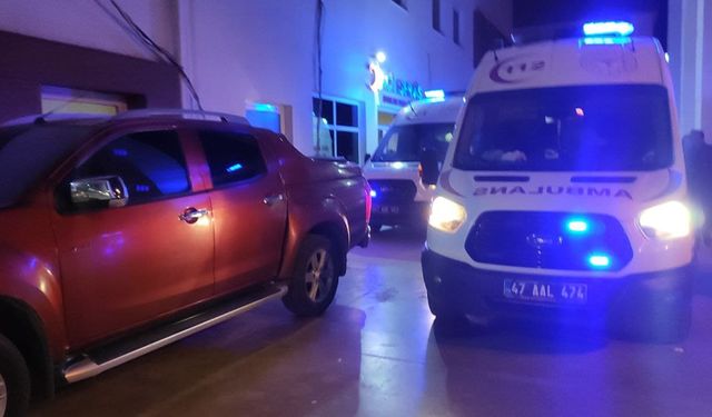 Mardin'de tüfek kazara ateş aldı