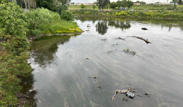 "Meteorolojik kuraklık artık fizyolojik kuraklığa dönüştü"