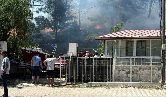 Muğla'da orman yangını meydana geldi!