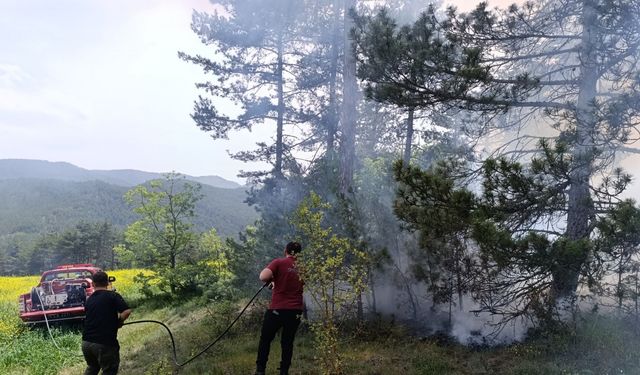 Ormana düşen yıldırım yangına neden oldu