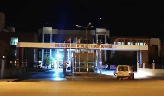 Otomobilin çarpmasıyla hayatını kaybetti