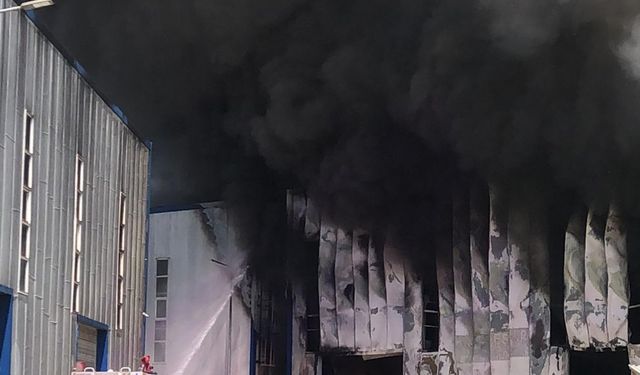 Tekirdağ'da fabrikada yangın çıktı!