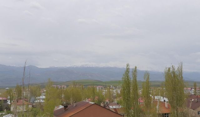 Van'da kar yağışı
