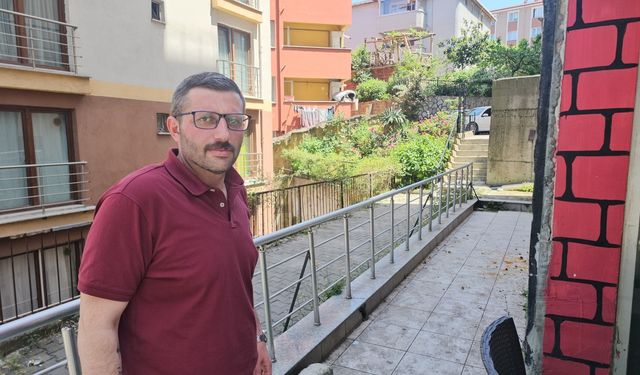 Zonguldak’ta Kedilere İşkence: Karınları Kesilip Organları Alındı