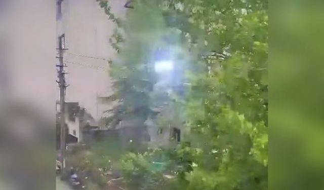 Bartın'da  ağaçlar rüzgara teslim oldu