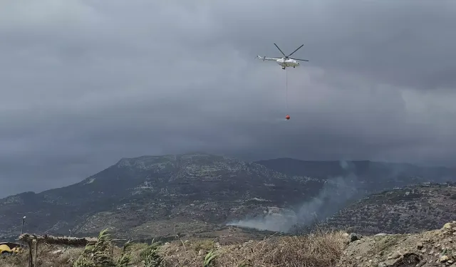 Hatay'da çalılıkta yangın çıktı