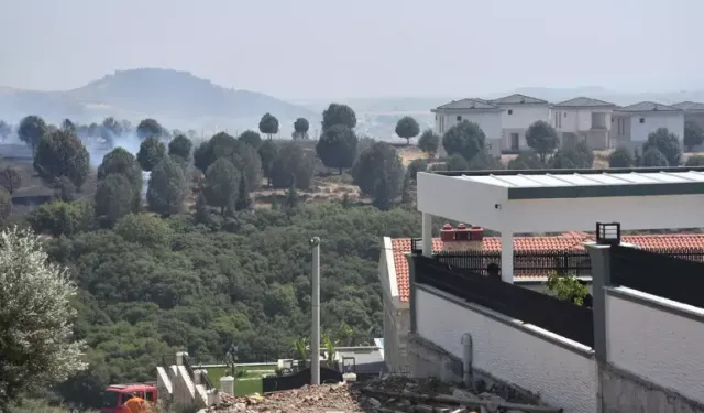 İzmir Foça'da Orman Yangını