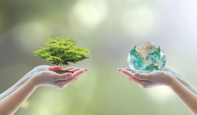 5 Haziran Dünya Çevre Günü Nedir?