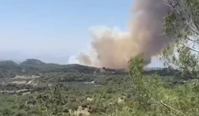 Adana'da orman yangını çıktı