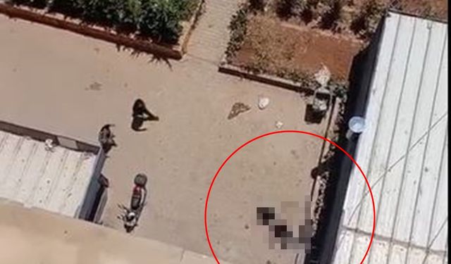 11'inci kattan düşen reklam oyuncusu öldü