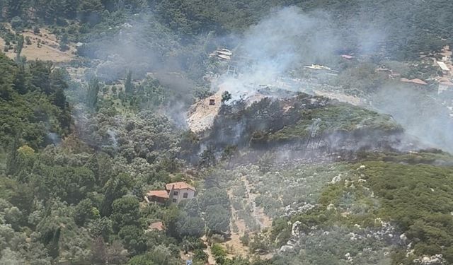 İzmir'de orman yangını çktı!