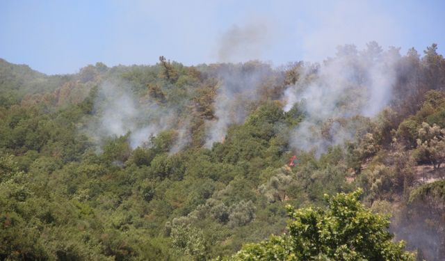 Kocaeli'de yangın