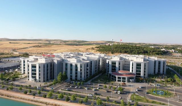 Lavabo açıcı çit, 2 sene sonra iyileşti