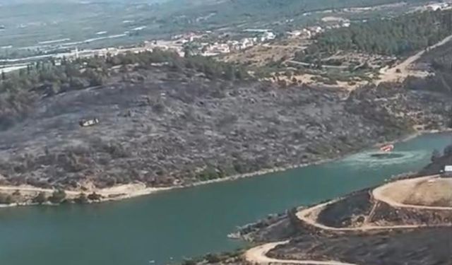 Manisa'daki orman yangını devam ediyor