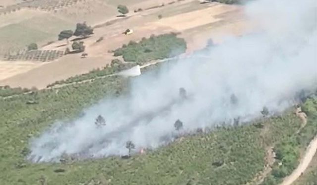 Manisa'daki yangınlarda ormanlar zarar gördü!