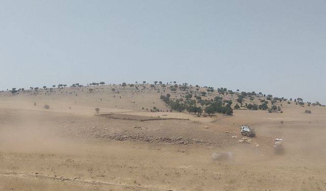 Mardin'de orman yangını çıktı