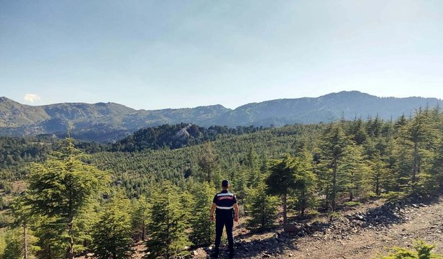 Muğla'da ormanlara girişler yasak!