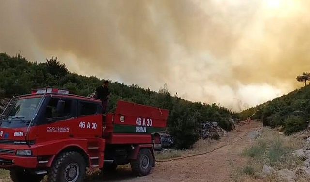 Gaziantep'te orman yangını meydana geldi