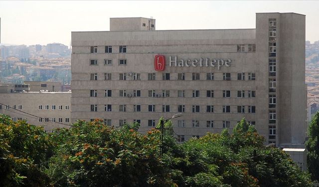 BİNA İŞLERİ YAPTIRILACAKTIR