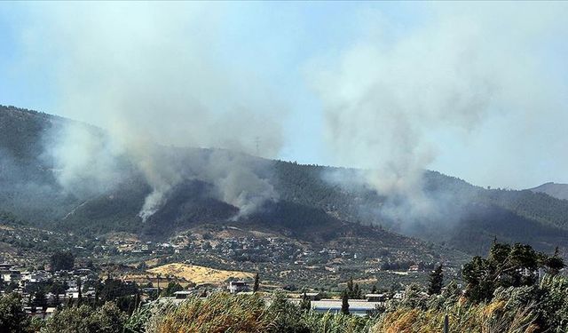 Hatay'da orman yangını