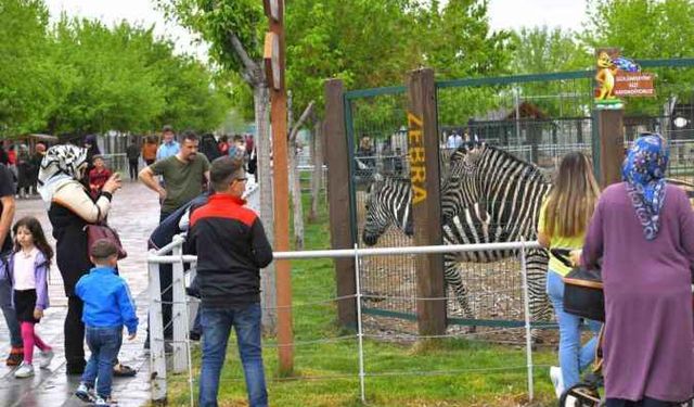 Hayvanat bahçesi Kurban Bayramı'nda ücretsiz olacak