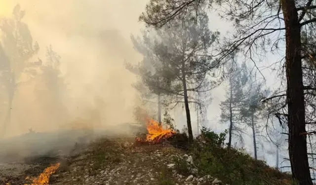 Balıkesir Dursunbey’de Orman Yangını!