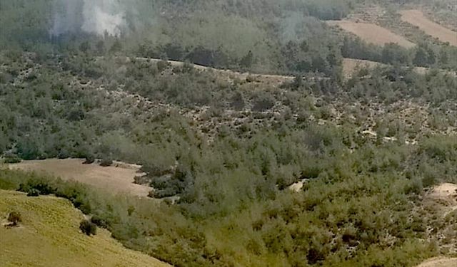 İmamoğlu ilçesinde orman yangını