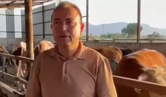 İş İnsanı Dananın Saldırısıyla Hayatını Kaybetti