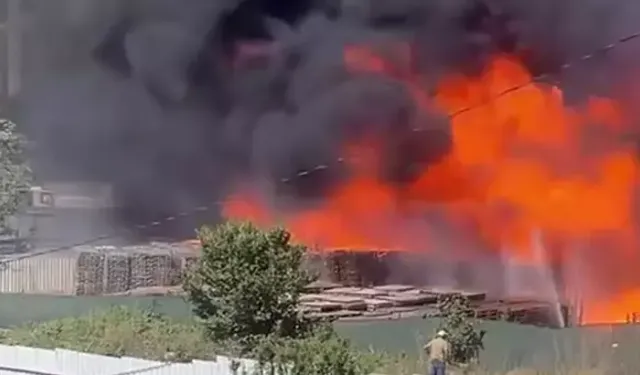 Palet depolama sahasında yangın çıktı