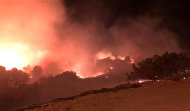 İzmir'de yangın 1 saatte söndürüldü