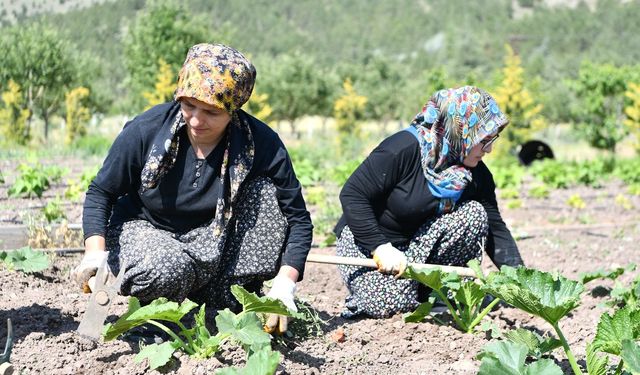 Mamak Belediyesi’nden Yerli Üretime Tam Destek!