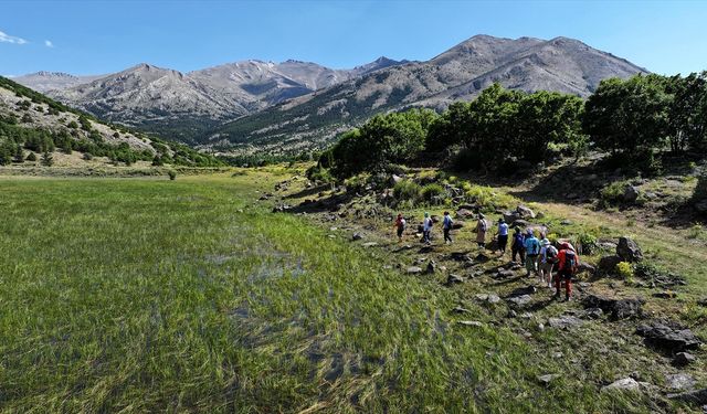 Berçin Yaylası Doğaseverlerin Yeni Gözdesi Oldu