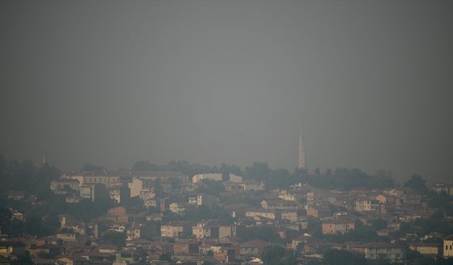 Bulgaristan'daki orman yangının dumanı Edirne'ye ulaştı