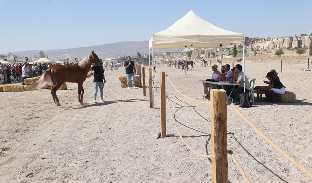 Kapadokya’da At Güzellik Yarışması Düzenlendi