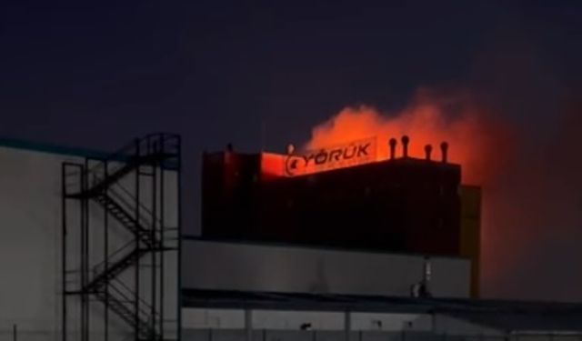 Ankara OSB'de Korkutan Yangın