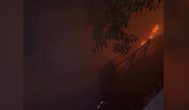 Attıkları havai fişek yangın çıkardı!