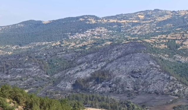 Balıkesir'de orman yangını