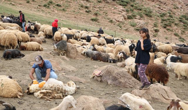 Berivanların yaylaya atlı yolculuğu