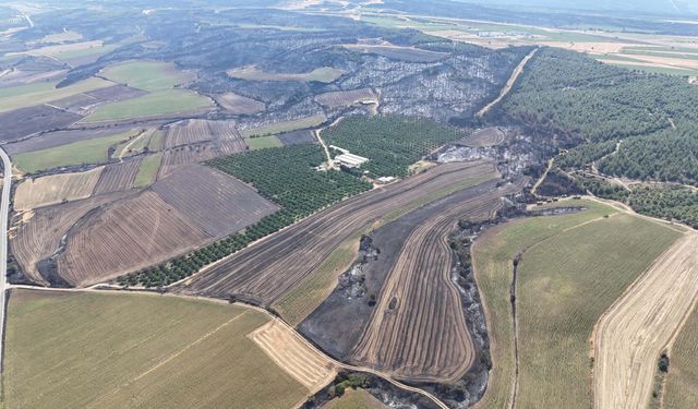 Çanakkale'de 85 hektar orman yandı