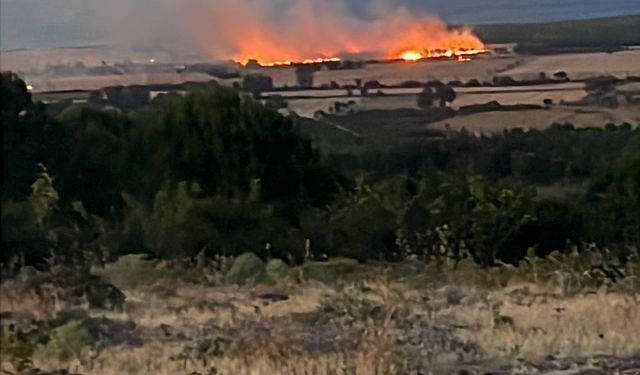 Çanakkale'de Yangın 1.5 Saatte Söndürüldü