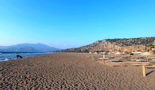 Caretta caretta yavruları denize kavuştu