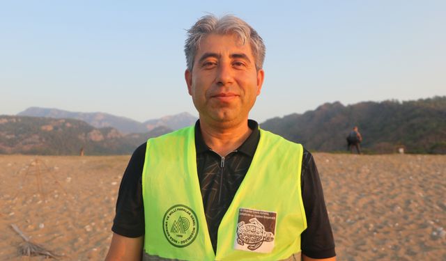 Deniz kaplumbağalarının zorlu yaşam mücadelesi