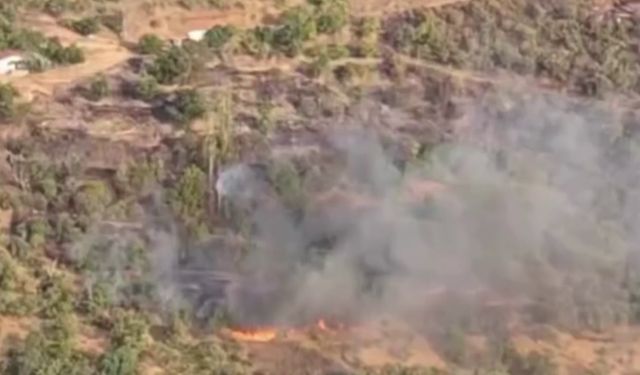 Elazığ'daki yangın kontrol altında